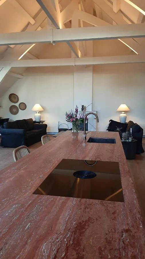 Amazing Loft Appartement Den Haag